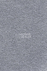 Ковролин AW Masquerade Gaudia 79 фото 1 | FLOORDEALER